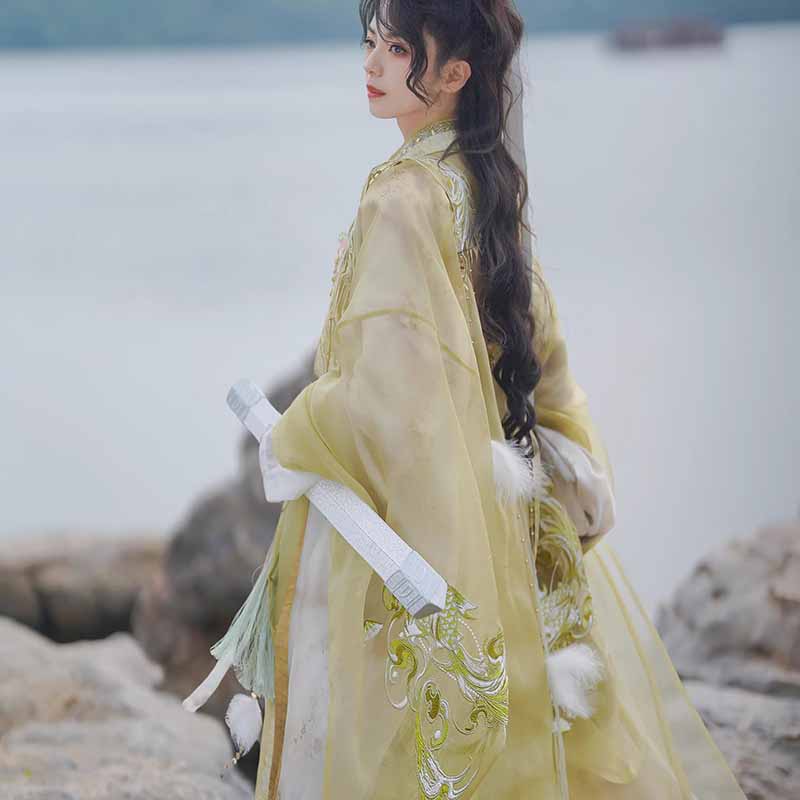 Embroidery Outfit - Costume Hanfu da Spadaccino Wuxia per