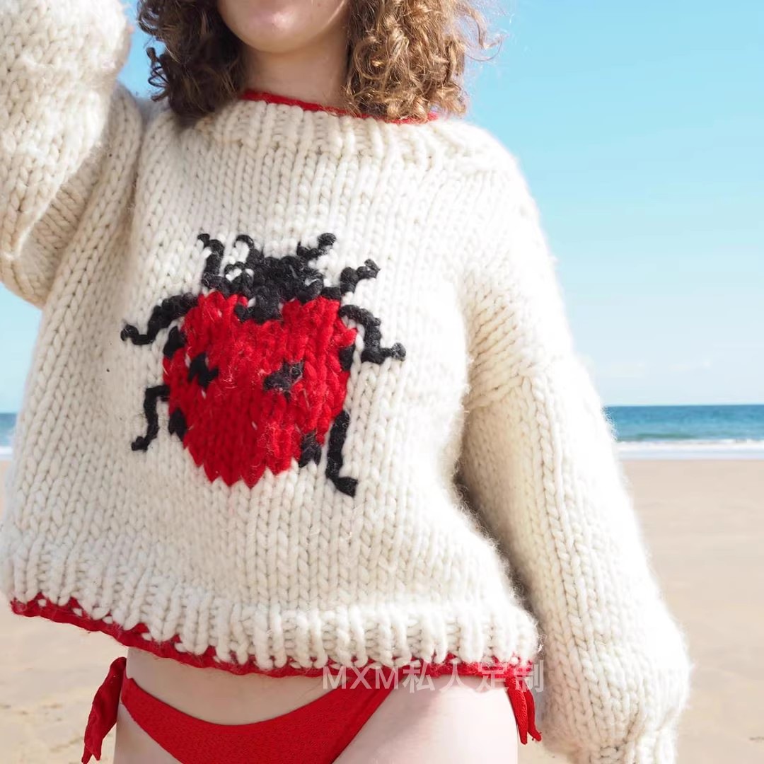 Embroidery Lady Bug - Maglione di lana grossa lavorata a