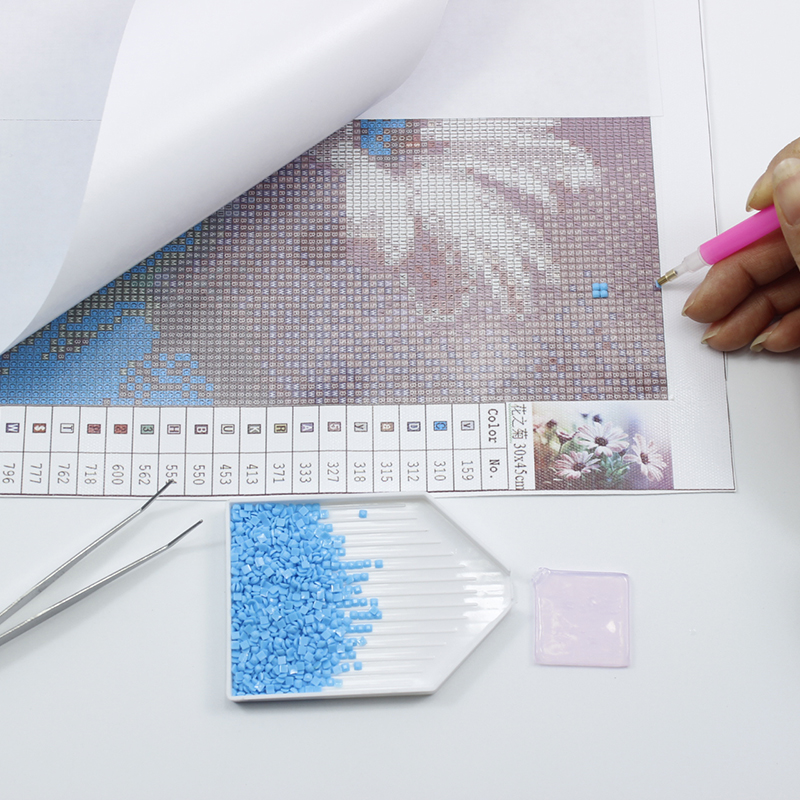 Pittura diamante 5D trapano co - Embroidery Lady Bug recensione e prezzo