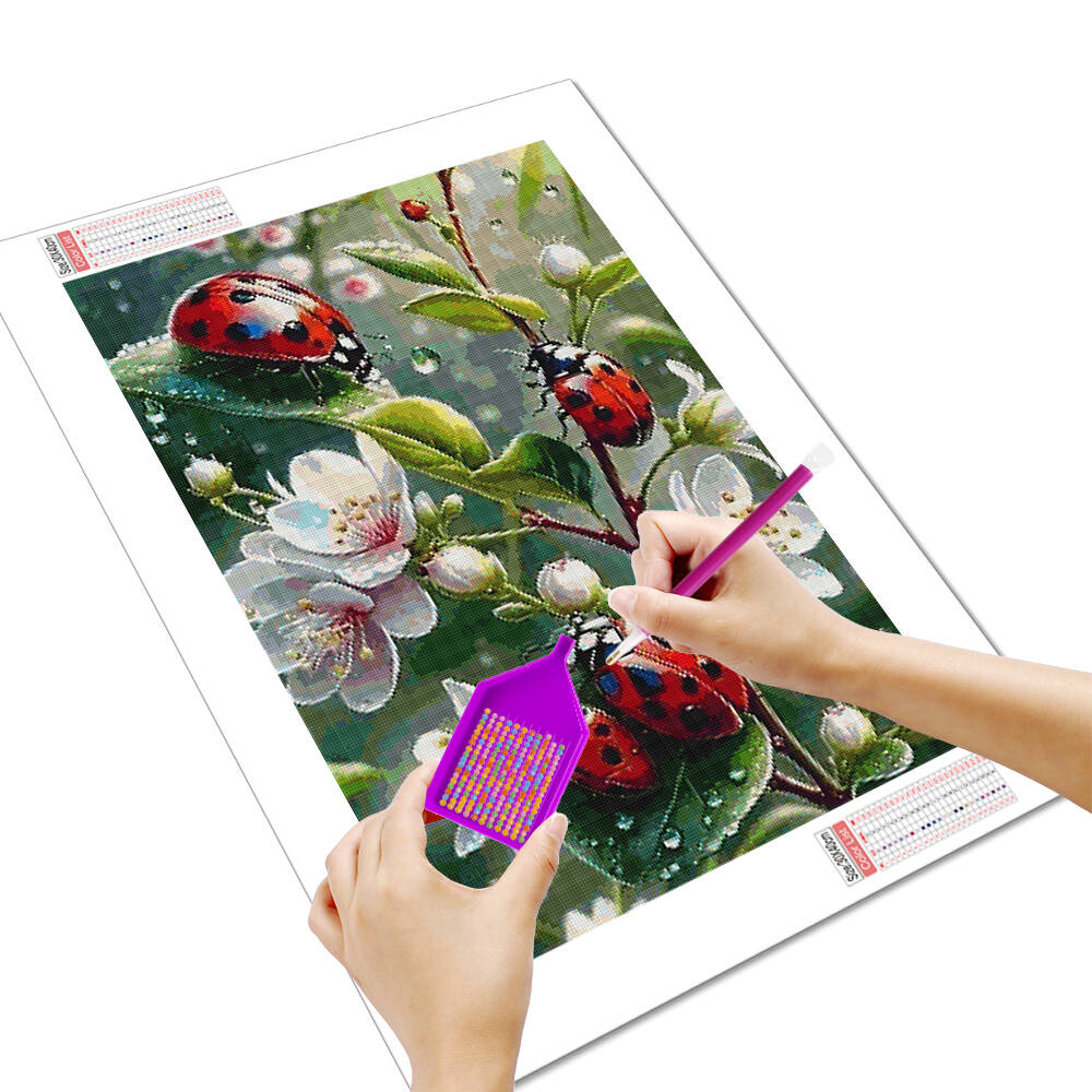 HUACAN Animal DIY Diamond Pain - Embroidery Lady Bug recensione e prezzo