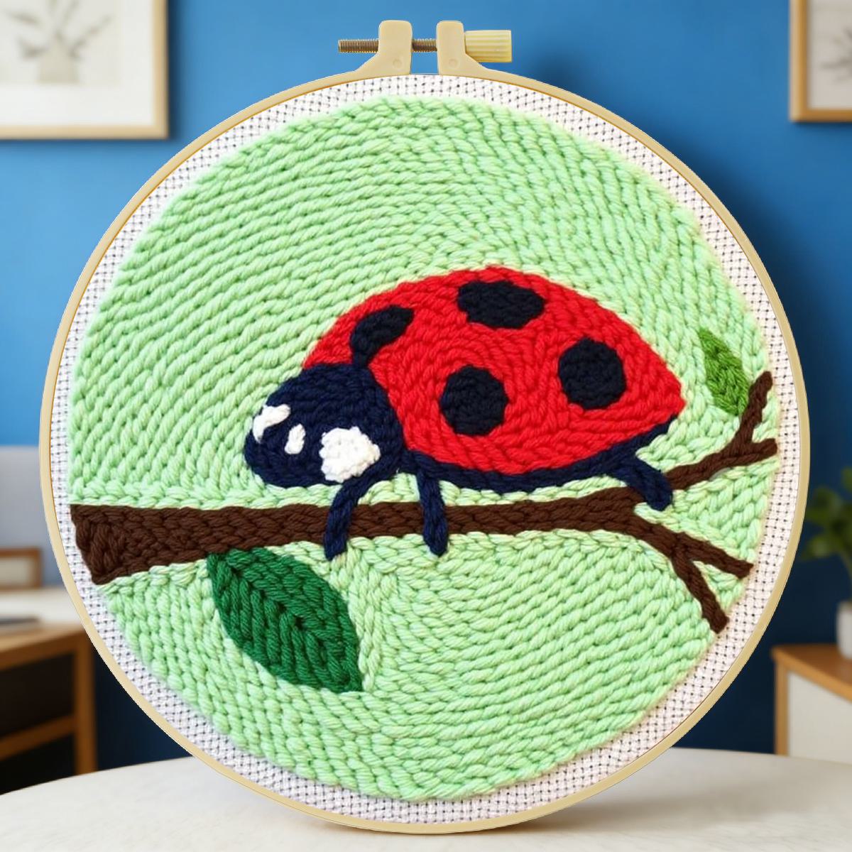 Kit Ricamo Punch Needle 20x20c - Embroidery Lady Bug recensione e prezzo